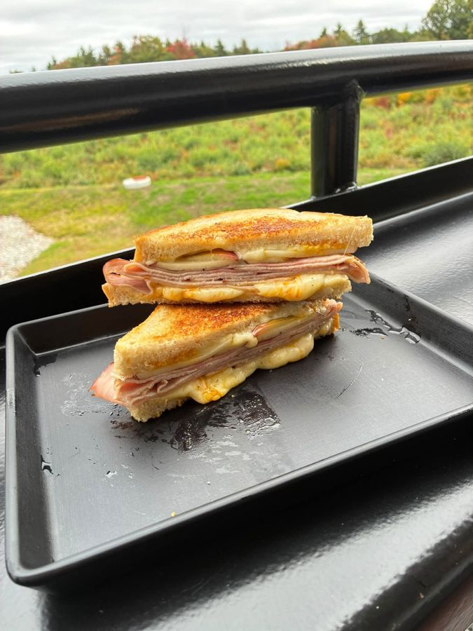 A grilled sandwich served on a tray on the covered patio